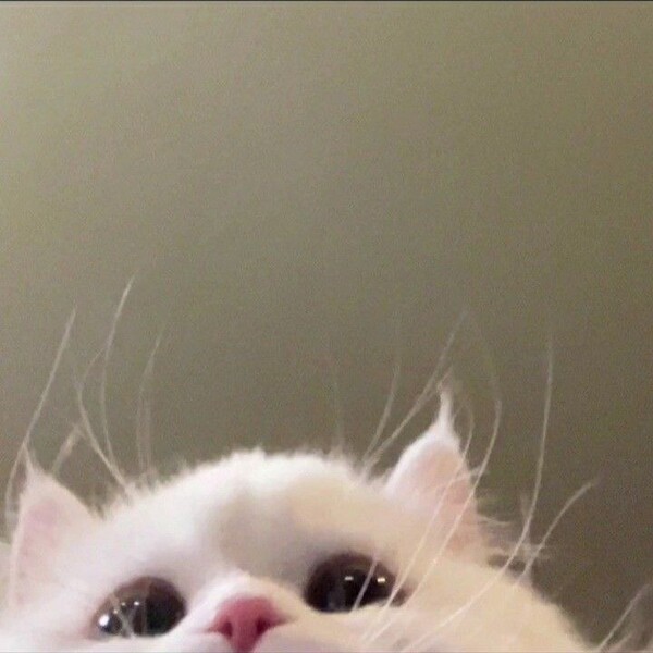 雨の中ありがとう‬т т