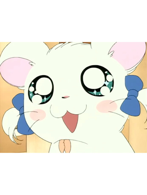 今日も🐈‍⬛💕💕