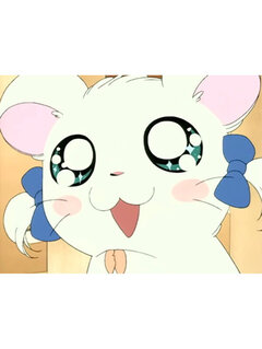 今日も🐈⬛💕💕