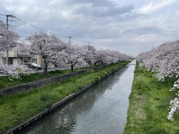今週（3/30〜4/5）の出勤スケジュール🗓️