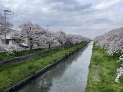 今週（3/30〜4/5）の出勤スケジュール🗓️