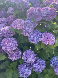 6/13（土）本日の受付は終了しました🙇🏻‍♀️