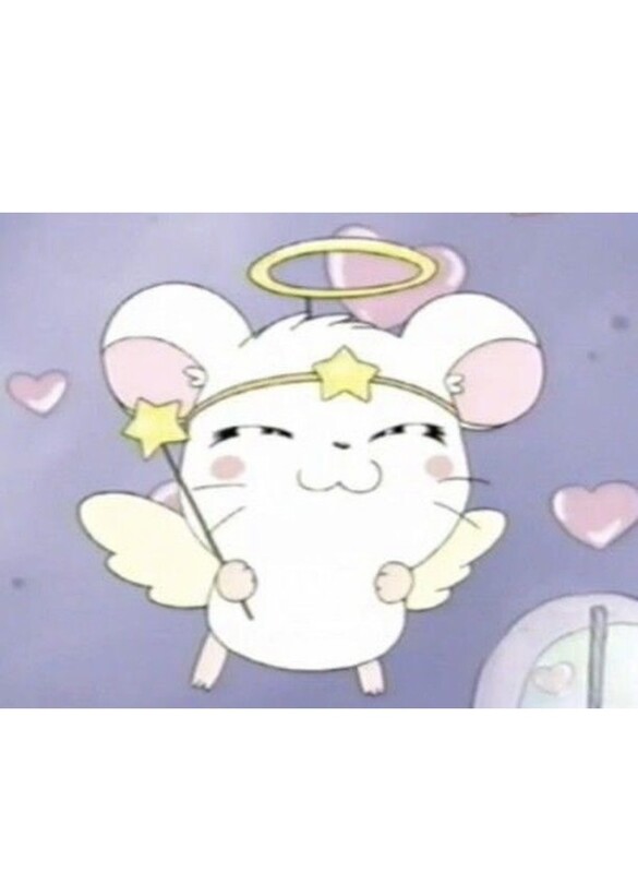 明日だよ🐈‍⬛💕🩷