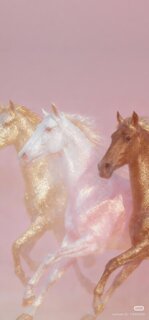 正直なお話とお願い🫧